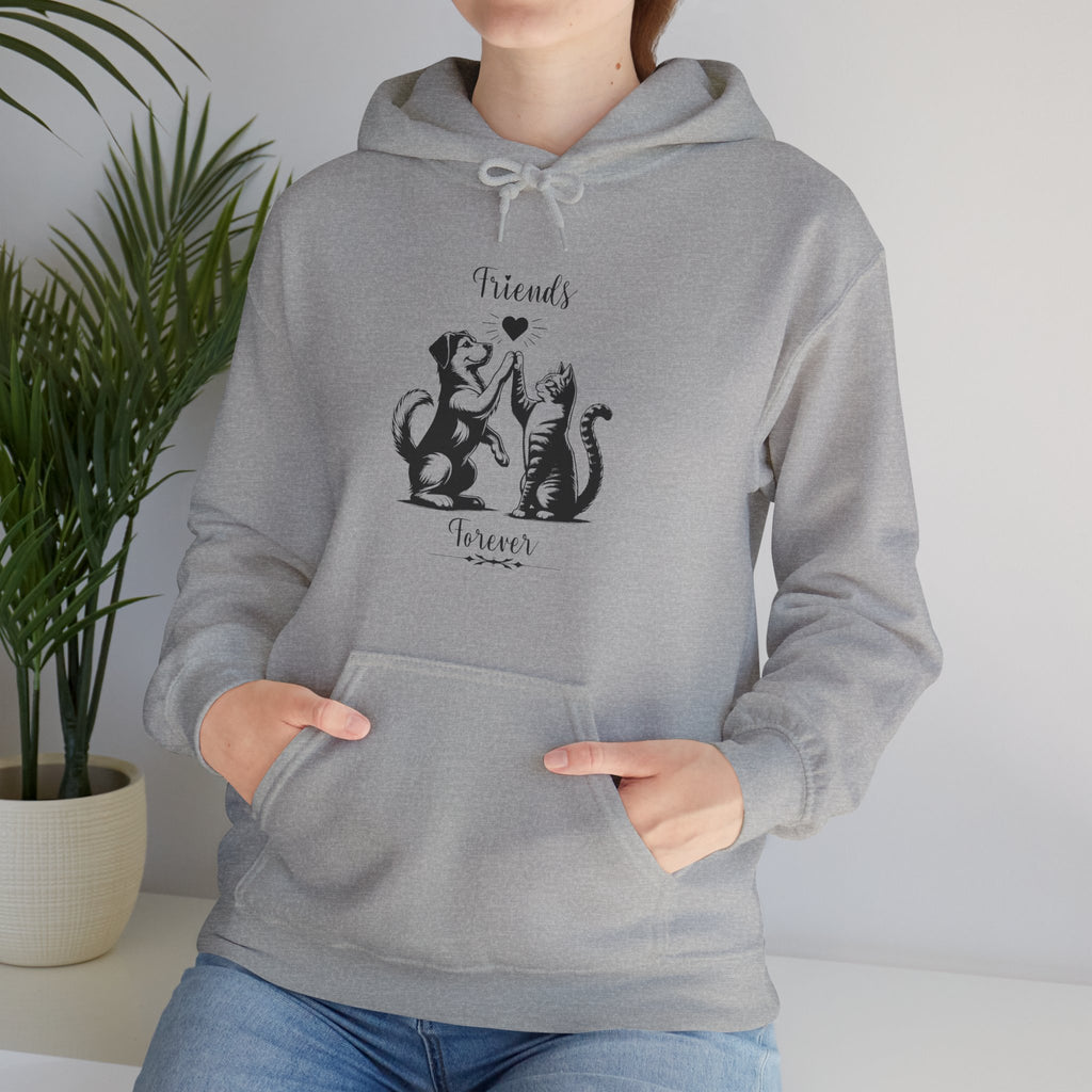 Friend Forever Hoodie
