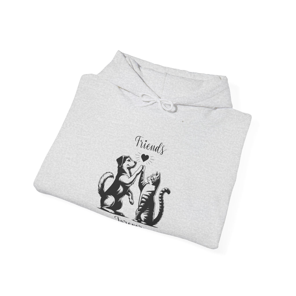 Friend Forever Hoodie