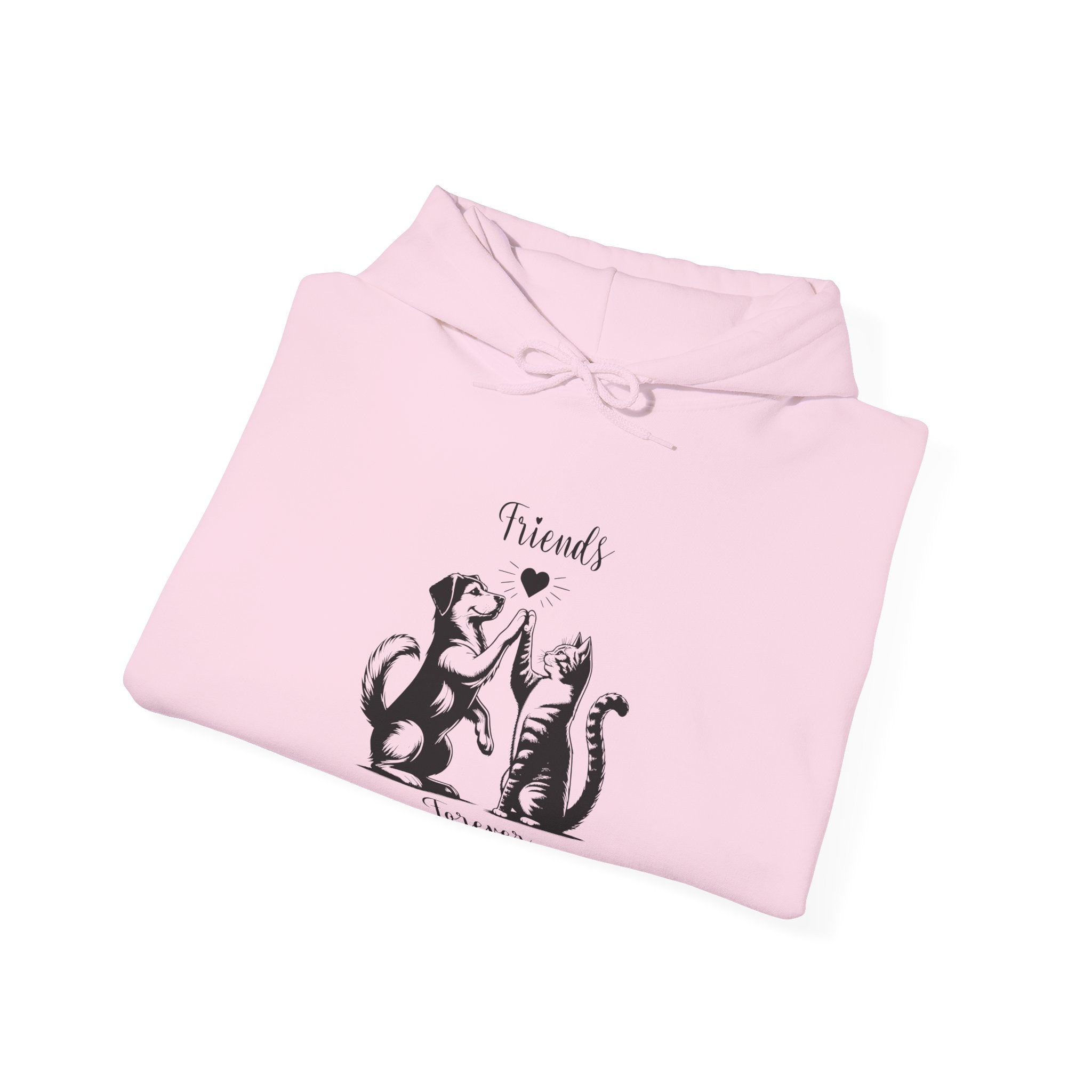 Friend Forever Hoodie