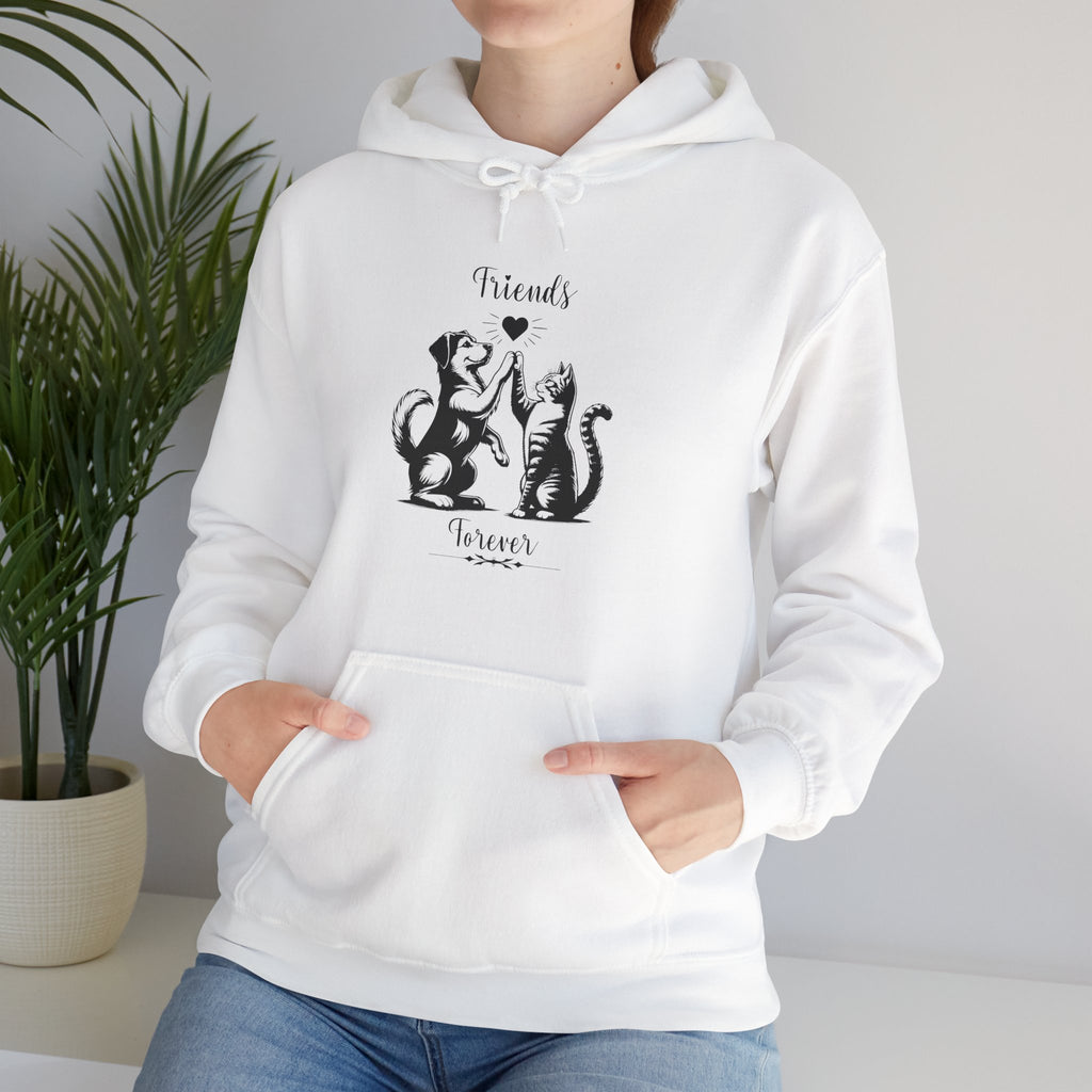 Friend Forever Hoodie