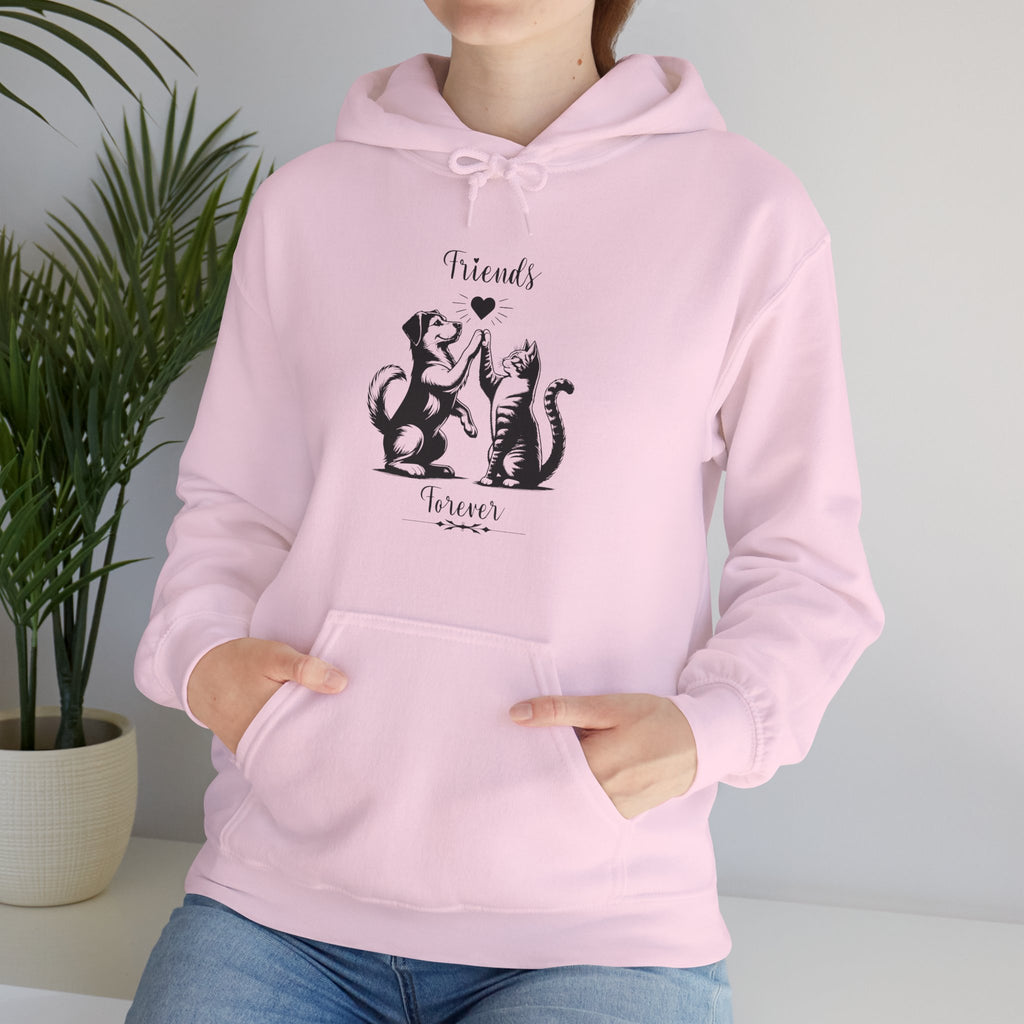 Friend Forever Hoodie