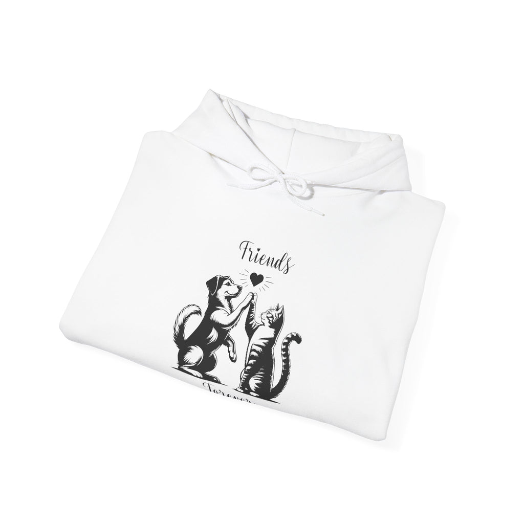 Friend Forever Hoodie