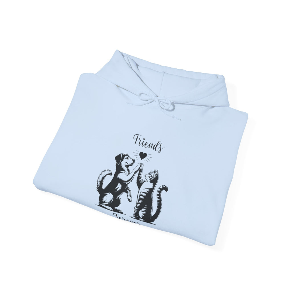 Friend Forever Hoodie