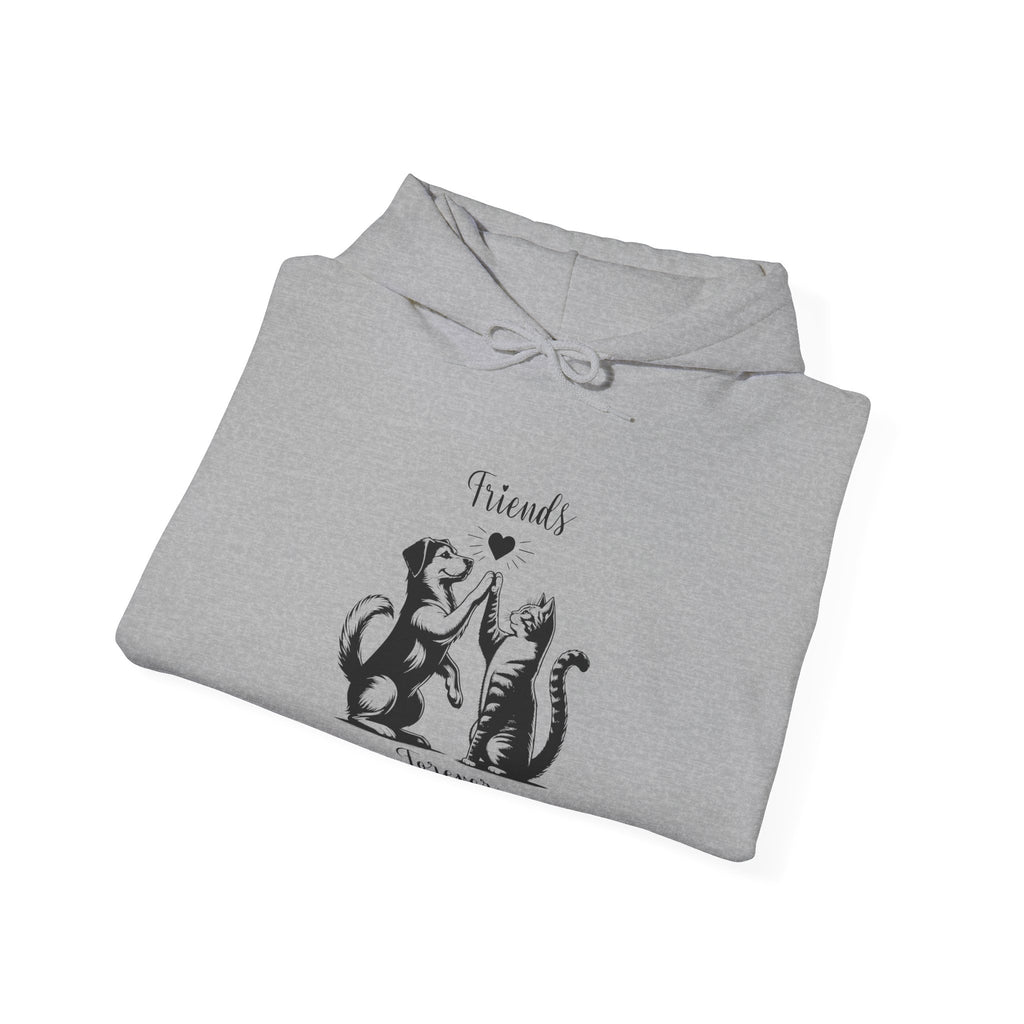 Friend Forever Hoodie