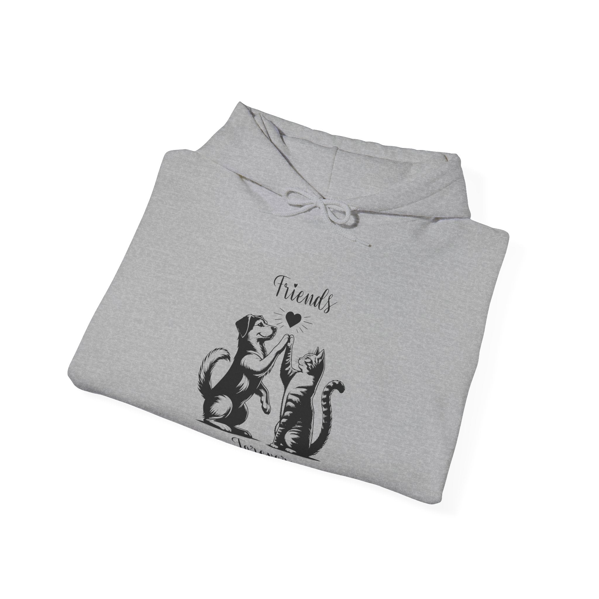 Friend Forever Hoodie